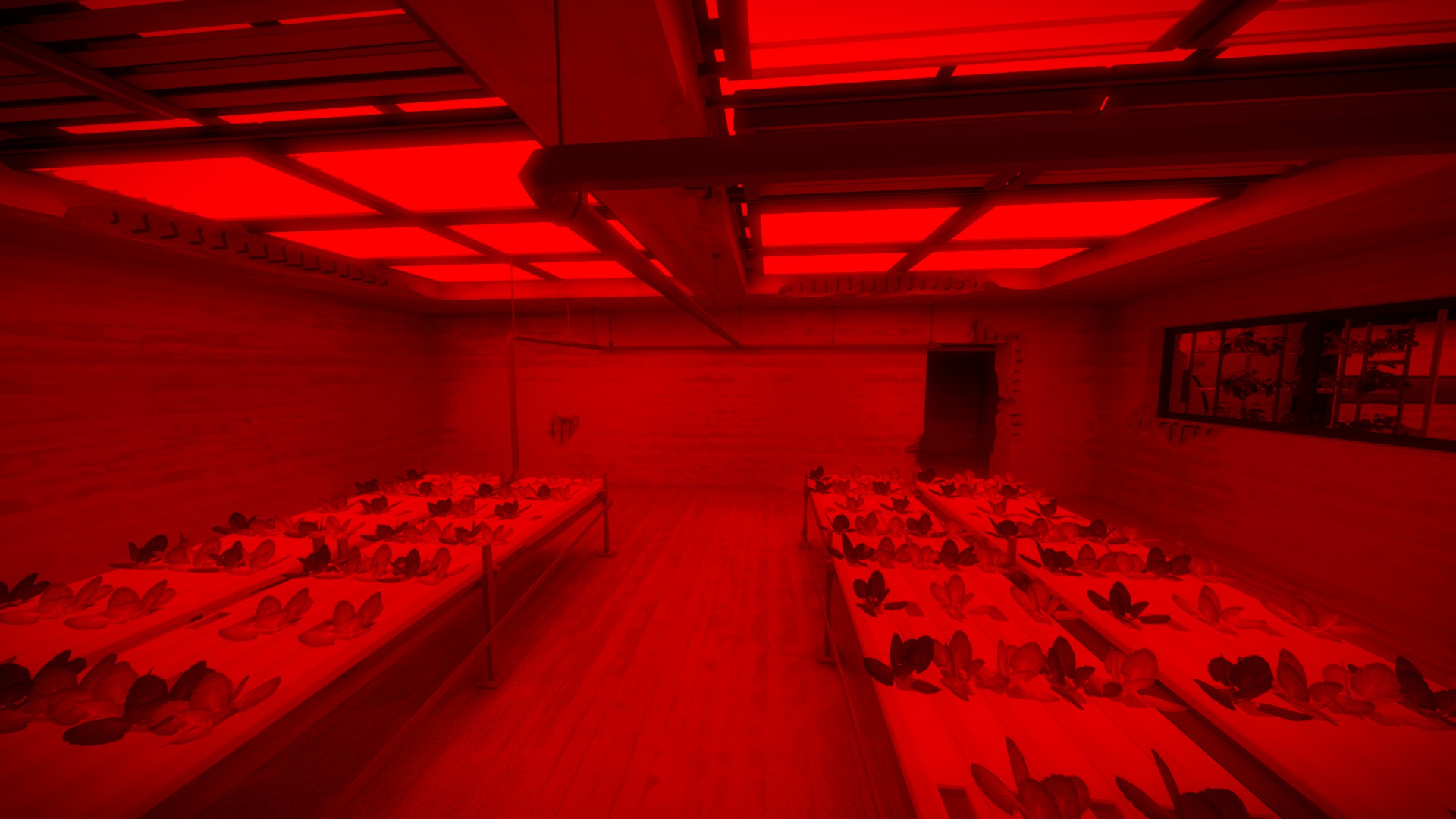 A greenhouse interior lit stark red.